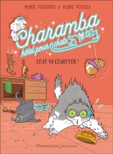 Chat va chauffer