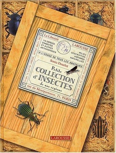 Petite collection d'insectes de nos régions