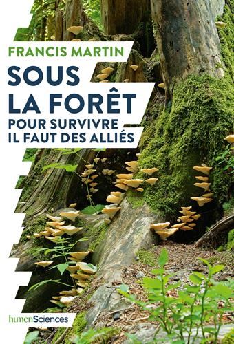 Sous la forêt