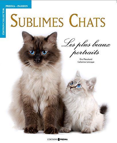 Sublimes chats