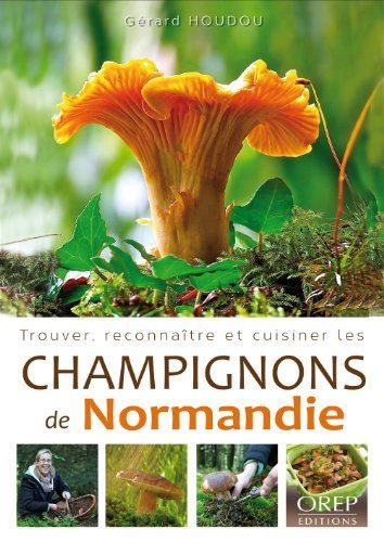 Trouver, reconnaître et cuisiner les champignons de normandie